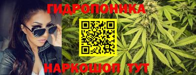 mdma Аргун