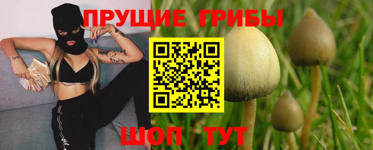 купить наркотики цена  Галлюциногенные грибы Magic Shrooms  Вход с VPN  Воткинск 